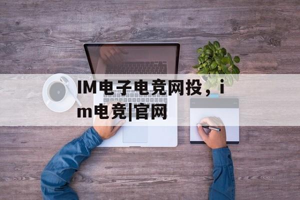 IM电子电竞网投，im电竞|官网